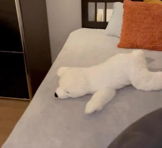 Appartement - Parking Inclusive